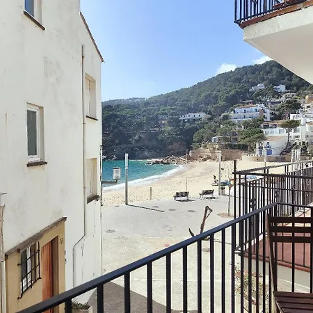 Beachfront Ideal Familias Y Grupos. Tamariu