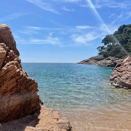 1: Beachfront Wifi Up To 6 Ppl