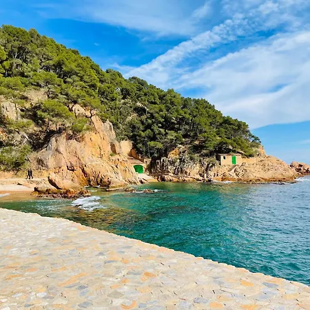 1- Beachfront With Wifi Views Apartament