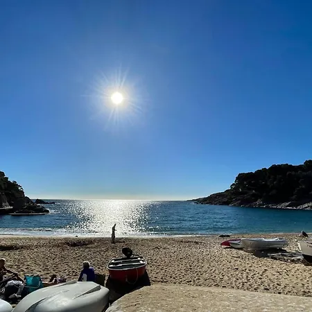 Apartament 1- Beachfront With Wifi Views
